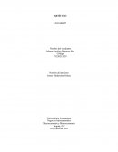 Producción y mercado del arroz en Colombia