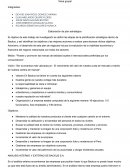 Elaboración de plan estratégico