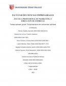 Comportamiento del consumidor optimista