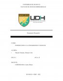 Introduccion a la contabilidad y finanzas