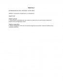 Práctica. Determinación de urea, creatinina y ácido úrico