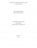 Creacion de una microempresa basada en la venta de hojas reciclables