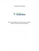 Actividad 1 Tecnologias de info para los negocios