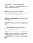 Guia materno infantil