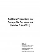 Análisis Financiero de Compañía Cervecerías Unidas S.A