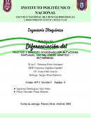 Diferenciación del genotipo y fenotipo