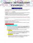 Metabolismo y energia