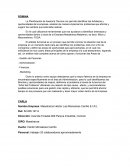 Planificación de Asesoría Técnica