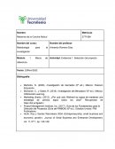 Evidencia Final Metodologia. Aramipama