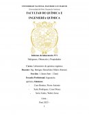 Informe de laboratorio N°1 Halógenos, Obtención y Propiedades