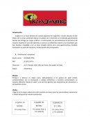 Costo y presupuesto Icajame Ltda