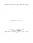 Caso área de consultoría técnica de Amazing Colombia S.A.
