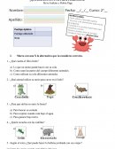 Evaluación lectura domiciliaria ¿Qué haces con una cola como esta?