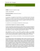 Introducción a la gestión de riesgos