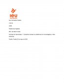 Actividad de aprendizaje. Campañas exitosas en plataformas de microblogging y video streaming