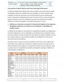 Caso práctico Grupal: Ahold versus Tesco-Analyzing Performance