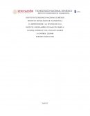 El emprendedor y la innovación G-62