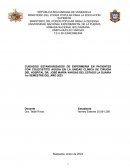 Cuidados estandarizados de enfermería en pacientes con colecistitis aguda