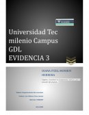 Mejor medio digital para atraer consumidores