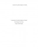 La importancia de los pueblos indigenas en Colombia