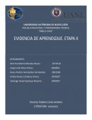 Evidencia de aprendizaje, etapa III