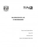 Valoración de las 14 necesidades