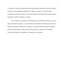 Carbohidratos - Bioquímica