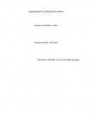 La innovacion como estrategia en la MIPYME de un abarrotes “La Central”