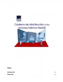 Cadena de distribucion Nestlé