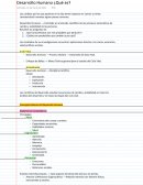 Desarrollo Humano ¿Qué es?