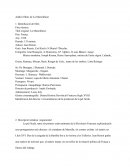 Anàlisi fílmic de La Marseillaise