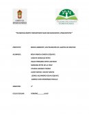 Proyecto: Medio ambiente, reutilización de llantas de desecho