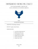 La metodoliga de investigacion. Ecosistemas marítimos