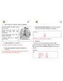 Guia matemática 4°