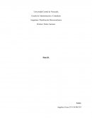 Planificación Microeconómica