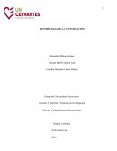 Metodologia de la investigación.Consulta Popular