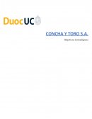 Caso Concha y Toro