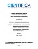 Introduccion a la medicina