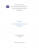 El rol del docente como mediador