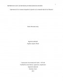 Importancia de los sistemas integrados de gestión