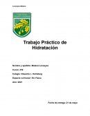 Trabajo Práctico de Hidratación