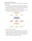 Comportamiento y estilos de liderazgo