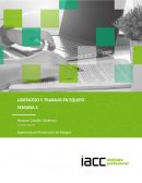 Liderazgo y trabajo en equipo