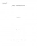 Analisis etapas de RSC