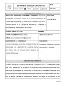 Proyecto: “Colores y jardines”