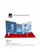 Pérdida de biodiversidad