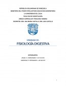 Fisiologia digestiva