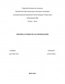 Desarrollo humano en las organizaciones