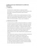 Electricidad en el impulso nervioso