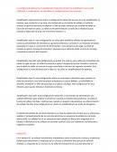 La configuración básica de un amplificador